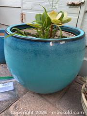 MaxSold Auction: Three Planters & Succulents - Oxnard (California, USA) PARTNER MANAGED Estate Sale Online Auction - West Fifth Street