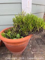 MaxSold Auction: Three Terracotta Planters - Oxnard (California, USA) PARTNER MANAGED Estate Sale Online Auction - West Fifth Street