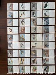 MaxSold Auction: National Museum Ottawa 36 bird postcard Circa 1950. Made in Canada. - Oakville (Ontario, Canada) PARTNER MANAGED Estate Sale Online Auction - Lakeshore Road West