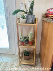 MaxSold Auction: Cacti, Succulents & Orchid B - Barrie (Ontario, Canada) Downsizing Online Auction - Wessenger Drive