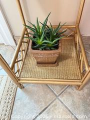 MaxSold Auction: Cacti, Succulents & Orchid B - Barrie (Ontario, Canada) Downsizing Online Auction - Wessenger Drive