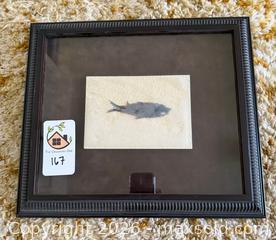 MaxSold Auction: Fossil - Oakland (California, USA) PARTNER MANAGED Estate Sale Online Auction - Monterey Boulevard