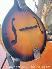 MaxSold Auction: Rogue Mandolin - Toronto (Ontario, Canada) SELLER MANAGED Downsizing Online Auction -  Bathurst Street (CONDO)
