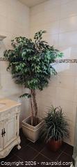 MaxSold Auction: Pair of Tall Faux Dracaena-Style Floor Plants with Planters C - Whitchurch-Stouffville (Ontario, Canada) Downsizing Online Auction - Grayfield Drive