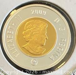 MaxSold Auction:  2009 Cdn. Silver Proof Queen Elizabeth II Twoonie  - Newmarket (Ontario, Canada) PARTNER MANAGED Reseller Online Auction - Walter Avenue