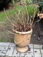 MaxSold Auction: 5 Outdoor Planters in Gold/Yellow tone - North Vancouver (British Columbia, Canada) SELLER MANAGED Moving Online Auction - Northlands Drive