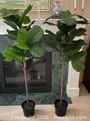 MaxSold Auction: Pair of artificial fig trees - North Vancouver (British Columbia, Canada) SELLER MANAGED Moving Online Auction - Northlands Drive