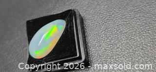 MaxSold Auction: Museum grade harlequin crystal opal - Toronto (Ontario, Canada) PARTNER MANAGED Reseller Online Auction - Gerrard Street