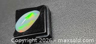 MaxSold Auction: Museum grade harlequin crystal opal - Toronto (Ontario, Canada) PARTNER MANAGED Reseller Online Auction - Gerrard Street