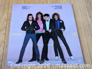 MaxSold Auction: Teenage Head — Self Titled LP - Bradford West Gwillimbury (Ontario, Canada) PARTNER MANAGED Downsizing Online Auction - Downy Emerald Drive