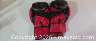 MaxSold Auction: Double Dragon 10 oz martial arts gloves - Toronto (Ontario, Canada) SELLER MANAGED Estate Sale Online Auction -  Saunders Road