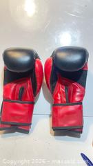 MaxSold Auction: New Professional Martial Arts Double Dragon  Gloves  - Toronto (Ontario, Canada) SELLER MANAGED Estate Sale Online Auction -  Saunders Road
