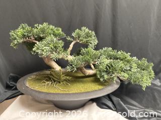 MaxSold Auction: Juniper Bonsai Tree – Cascade Style Faux Botanical - Campbell (California, USA) SELLER MANAGED Downsizing Online Auction - Dell Avenue 