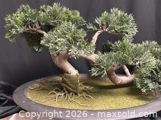 MaxSold Auction: Juniper Bonsai Tree – Cascade Style Faux Botanical - Campbell (California, USA) SELLER MANAGED Downsizing Online Auction - Dell Avenue 