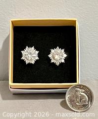 MaxSold Auction: 2CT White Moissanite Multi-Stone Earrings, Marked 925 - Oshawa (Ontario, Canada) SELLER MANAGED Downsizing Online Auction - Coyston Drive