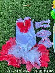 MaxSold Auction: Adorable Vintage Children Costumes and Dance Shoes   - Thousand Oaks (California, USA) PARTNER MANAGED Estate Sale Online Auction - Camino Roberto