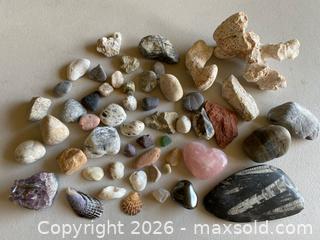 MaxSold Auction: Fossil Rocks - Shells - Petrified Coral & More - Thousand Oaks (California, USA) PARTNER MANAGED Estate Sale Online Auction - Camino Roberto