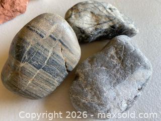 MaxSold Auction: Fossil Rocks - Shells - Petrified Coral & More - Thousand Oaks (California, USA) PARTNER MANAGED Estate Sale Online Auction - Camino Roberto