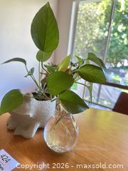 MaxSold Auction: Frog and Lightbulb Planters and Plants - Thousand Oaks (California, USA) PARTNER MANAGED Estate Sale Online Auction - Camino Roberto