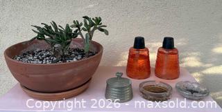 MaxSold Auction: Plant, Oil Lamps, Jar, and Ashtrays - Thousand Oaks (California, USA) PARTNER MANAGED Estate Sale Online Auction - Camino Roberto