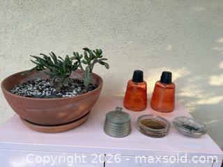 MaxSold Auction: Plant, Oil Lamps, Jar, and Ashtrays - Thousand Oaks (California, USA) PARTNER MANAGED Estate Sale Online Auction - Camino Roberto