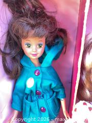 MaxSold Auction: Vintage Barbies & Accessories! - Thousand Oaks (California, USA) PARTNER MANAGED Estate Sale Online Auction - Camino Roberto