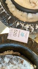 MaxSold Auction: Cast Iron Garden planters/urns - Oakville (Ontario, Canada) PARTNER MANAGED Estate Sale Online Auction -  Timber Lane