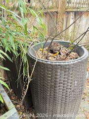 MaxSold Auction: Set of 4 Resin Rattan-Look Planters - Delta (British Columbia, Canada) SELLER MANAGED Estate Sale Online Auction -  55b Street