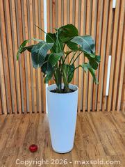 MaxSold Auction: 28" Pot w/ Birds of Paradise Live Plant #1 - Mississauga (Ontario, Canada) PARTNER MANAGED Reseller Online Auction -  Dundas Street East