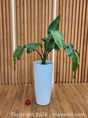 MaxSold Auction: 28" Pot w/ Birds of Paradise Live Plant #2 - Mississauga (Ontario, Canada) PARTNER MANAGED Reseller Online Auction -  Dundas Street East