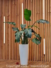 MaxSold Auction: 28" Pot w/ Birds of Paradise Live Plant #3 - Mississauga (Ontario, Canada) PARTNER MANAGED Reseller Online Auction -  Dundas Street East