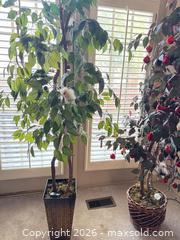 MaxSold Auction: Pair of Artificial Potted Trees with Planters - Raleigh (North Carolina, USA) PARTNER MANAGED Downsizing Online Auction -  Tipping Circle