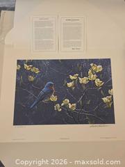 MaxSold Auction: Blue Bird And Blossoms By Robert Bateman - 1990 - Limited Edition Print 575/4500 - Vancouver (British Columbia, Canada) PARTNER MANAGED Commercial Liquidation Online Auction -  East Hastings