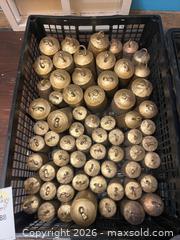 MaxSold Auction: Cowbells & Noise Makers - Vancouver (British Columbia, Canada) PARTNER MANAGED Commercial Liquidation Online Auction -  East Hastings