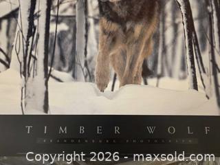MaxSold Auction: Jim Brandenburg Wolf Landscape Poster, Large Horizontal - Vancouver (British Columbia, Canada) PARTNER MANAGED Commercial Liquidation Online Auction -  East Hastings