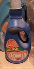 MaxSold Auction: Household laundry & cleaning products - Tide, Downy, Purex, Kirkland B - Toronto (Ontario, Canada) Downsizing Online Auction - Century Drive