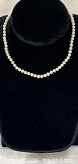 MaxSold Auction: 14k Pearl Necklace - Idaho Springs (Colorado, USA) PARTNER MANAGED Estate Sale Online Auction - Idaho Street