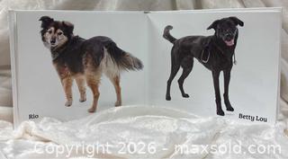 MaxSold Auction: "Dogs Of Denver" Denver Dumb Friends Leauge RARE BOOK 2015 - Idaho Springs (Colorado, USA) PARTNER MANAGED Estate Sale Online Auction - Idaho Street