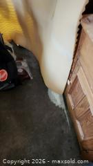 MaxSold Auction: Hoover FH50150CA Upright Carpet Cleaner - Brighton (Ontario, Canada) SELLER MANAGED Estate Sale Online Auction - Drewery Street