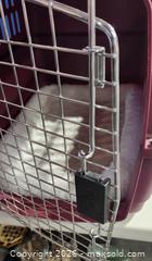MaxSold Auction: Petmate Medium Pet Carrier Kennel in Burgundy/Maroon - Brighton (Ontario, Canada) SELLER MANAGED Estate Sale Online Auction - Drewery Street