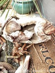 MaxSold Auction: Driftwood - Salmon Arm (British Columbia, Canada) SELLER MANAGED Downsizing Online Auction - 5 Avenue North East                    