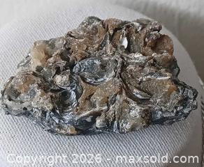 MaxSold Auction: Fossiliferous rock with yellow calcite and some chalcedony - Brantford (Ontario, Canada) SELLER MANAGED Reseller Online Auction - West Street (CONDO)