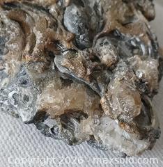 MaxSold Auction: Fossiliferous rock with yellow calcite and some chalcedony - Brantford (Ontario, Canada) SELLER MANAGED Reseller Online Auction - West Street (CONDO)