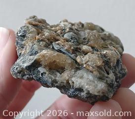 MaxSold Auction: Fossiliferous rock with yellow calcite and some chalcedony - Brantford (Ontario, Canada) SELLER MANAGED Reseller Online Auction - West Street (CONDO)