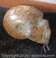 MaxSold Auction: Hand carved skull into Ammonite fossil - Brantford (Ontario, Canada) SELLER MANAGED Reseller Online Auction - West Street (CONDO)