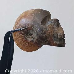 MaxSold Auction: Hand carved skull into Ammonite fossil - Brantford (Ontario, Canada) SELLER MANAGED Reseller Online Auction - West Street (CONDO)