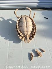 MaxSold Auction: Horror Sci?Fi Alien Decorative Resin Sculpture, Medium - ebn - Maple Ridge (British Columbia, Canada) PARTNER MANAGED Estate Sale Online Auction - 203 Street