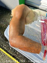 MaxSold Auction: Latex Prosthetic / Mannequin Forearm (Adult, 18–22 in) -ebn - Maple Ridge (British Columbia, Canada) PARTNER MANAGED Estate Sale Online Auction - 203 Street