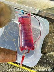 MaxSold Auction: Latex Prosthetic / Mannequin Forearm (Adult, 18–22 in) -ebn - Maple Ridge (British Columbia, Canada) PARTNER MANAGED Estate Sale Online Auction - 203 Street