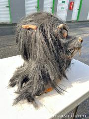 MaxSold Auction: Medium Life-Size Halloween Bust Head Prop -ebn - Maple Ridge (British Columbia, Canada) PARTNER MANAGED Estate Sale Online Auction - 203 Street